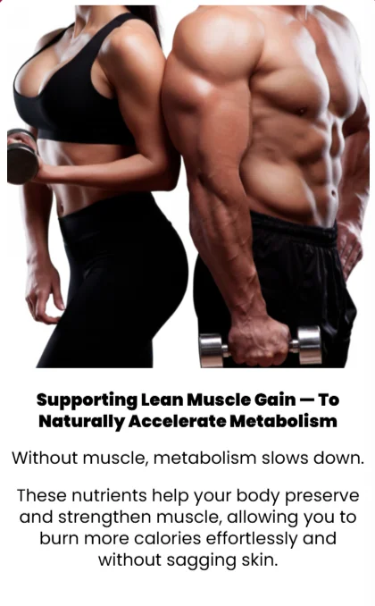 gelatine sculpt where to buy